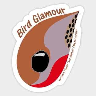 Northern Flicker, Red-shafted Sticker